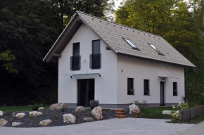 Brand new house Luna Bled